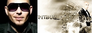 Pitbull.jpg